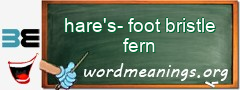 WordMeaning blackboard for hare's-foot bristle fern